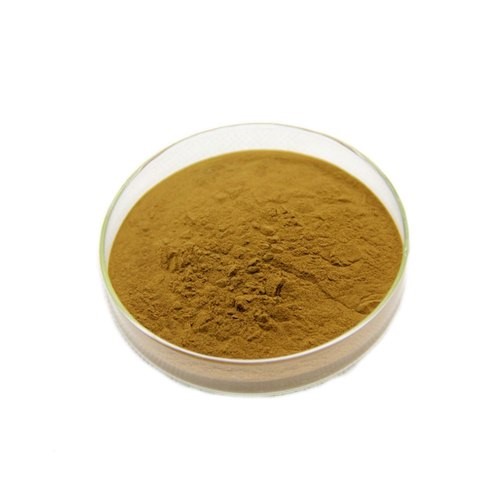 Bacopa 20% Bacoside ​