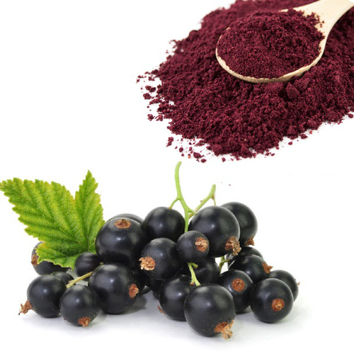Black Current Extracts ​