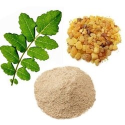 Boswellia serreta Extracts 65% Boswellic acid​
