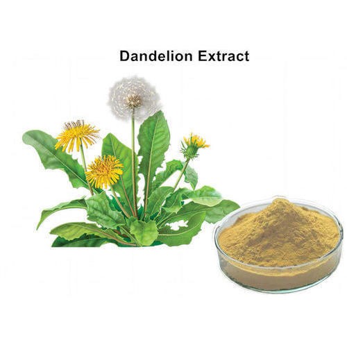Dandelion Extracts ​