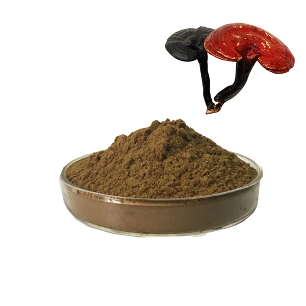 Ganoderma Extracts 20% Polysaccharide​