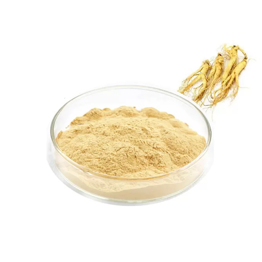 Ginseng Extracts 20% Ginsenoside ​