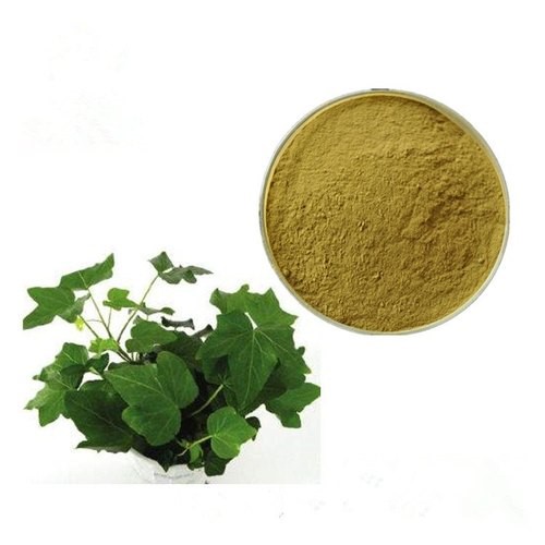 Ivy leaf Extracts 10-1