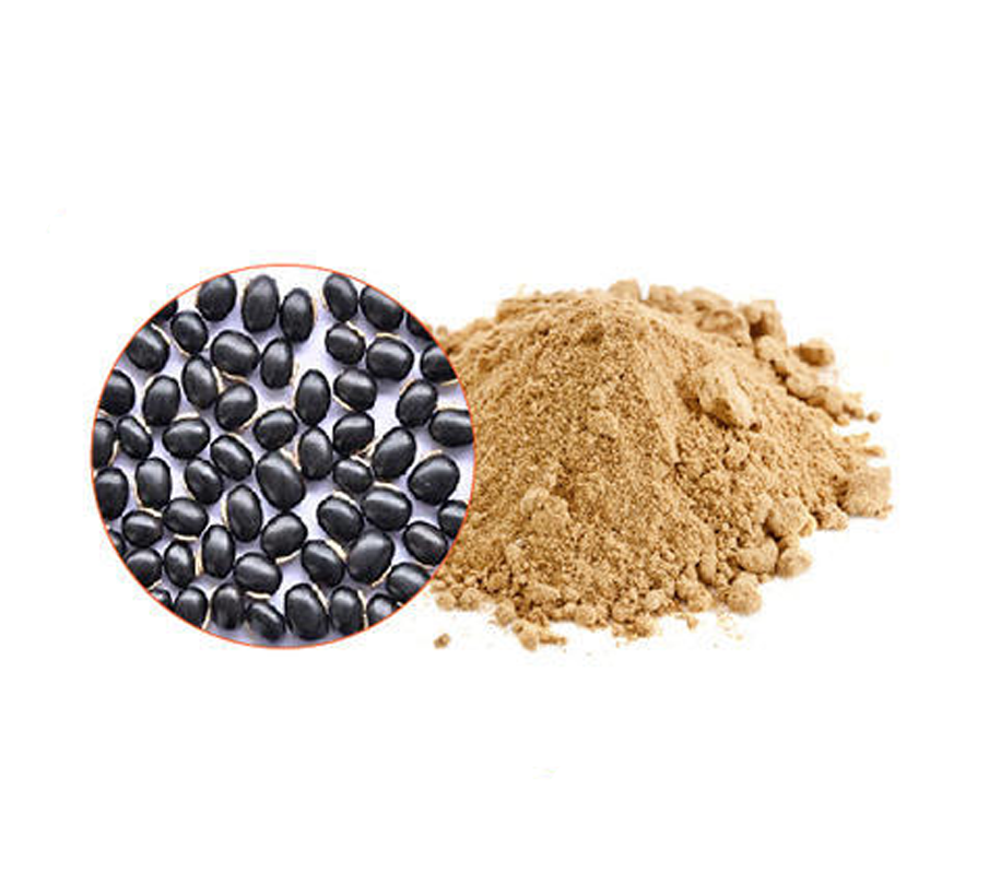 Mucuna puranis Extracts 20% L Dopa ​