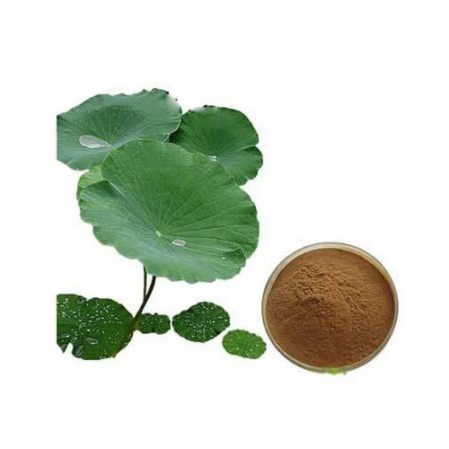 Nelumbo nucifera Extracts ​