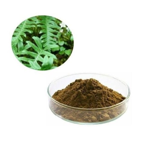 Polypodium leocotomus Extracts​