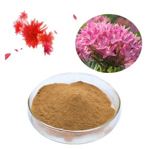 Rhodiola rosea Extracts​